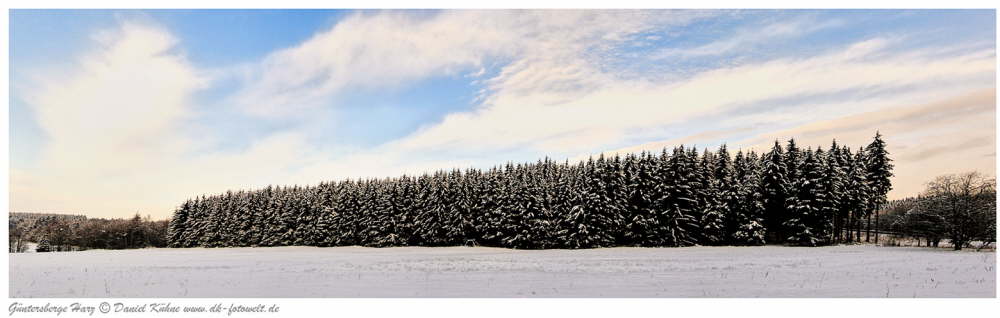 Panorama G�ntersberge Harz Wald