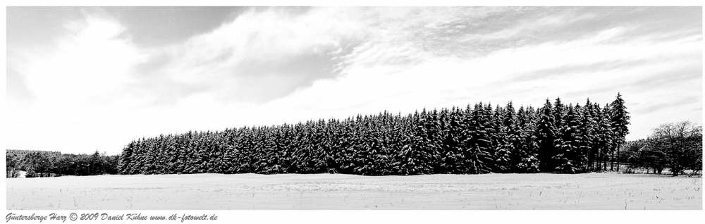 Panotama G�ntersberge im Harz