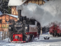 Harzer Schmalspurbahnen Selketalbahn im Winter2013_03_24_9999_21x3