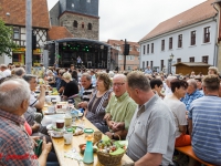 Harzgerode Sommermärchen 2016_MG_8138