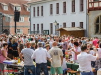 Harzgerode Sommermärchen 2016_MG_8140