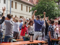 Harzgerode Sommermärchen 2016_MG_8142