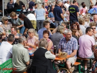 Harzgerode Sommermärchen 2016_MG_8146