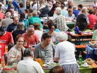 Harzgerode Sommermärchen 2016_MG_8148