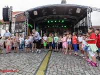 Harzgerode Sommermärchen 2016_MG_8158