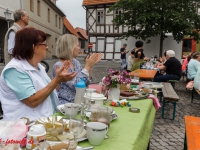 Harzgerode Sommermärchen 2016_MG_8182