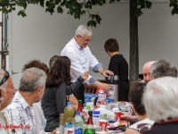 Harzgerode Sommermärchen 2016_MG_8194