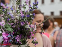 Harzgerode Sommermärchen 2016_MG_8198