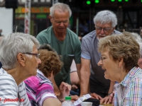 Harzgerode Sommermärchen 2016_MG_8207