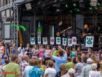 Harzgerode Sommermärchen 2016_MG_8248