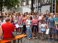 Harzgerode Sommermärchen 2016_MG_8326