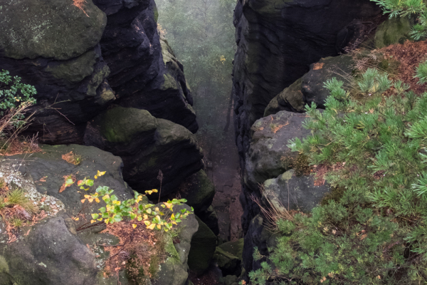 Nationalpark sächsische Schweiz Elbsandsteingebirge Lilienstein