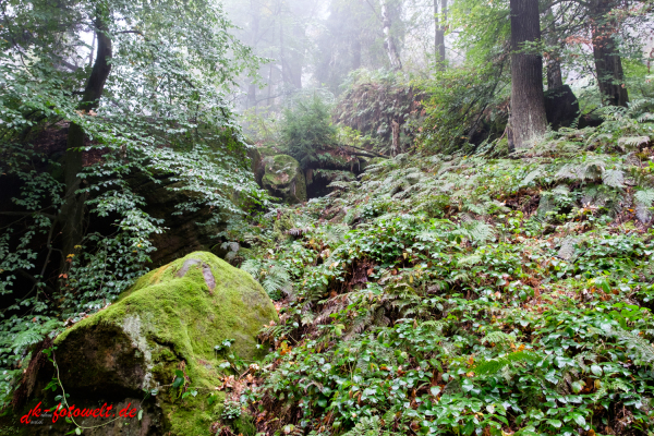 Nationalpark sächsische Schweiz Elbsandsteingebirge Lilienstein