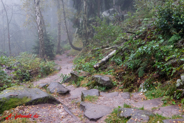 Nationalpark sächsische Schweiz Elbsandsteingebirge Lilienstein