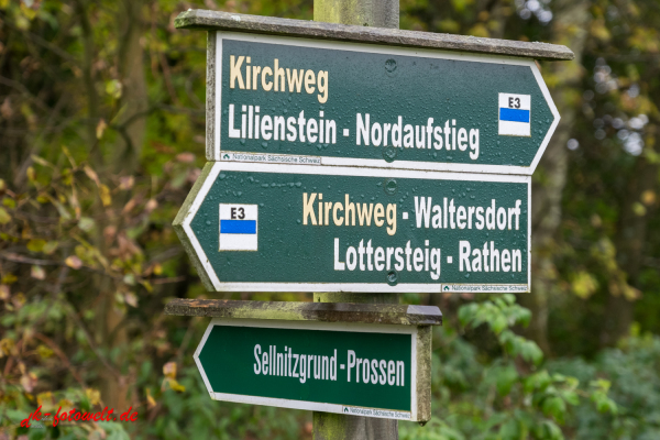 Nationalpark sächsische Schweiz Elbsandsteingebirge Lilienstein