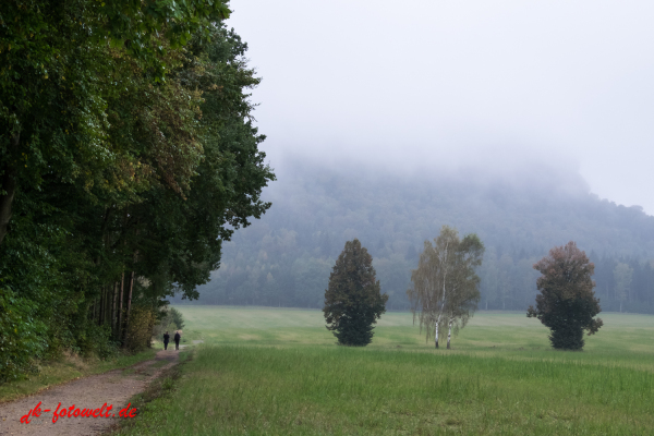 Nationalpark sächsische Schweiz Elbsandsteingebirge Lilienstein