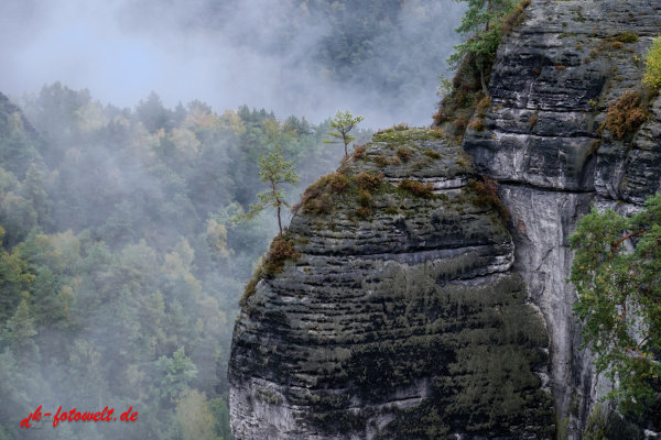 Nationalpark sächsische Schweiz Elbsandsteingebirge Bastei