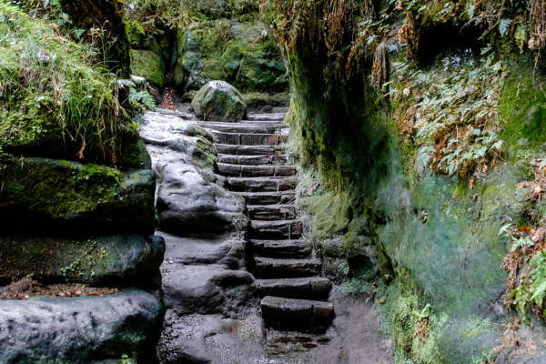 Nationalpark sächsische Schweiz Elbsandsteingebirge Bastei