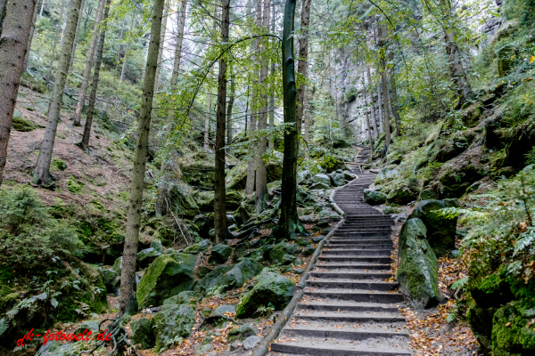 Nationalpark sächsische Schweiz Elbsandsteingebirge Bastei