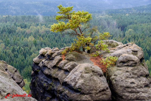 Nationalpark sächsische Schweiz Elbsandsteingebirge Bastei