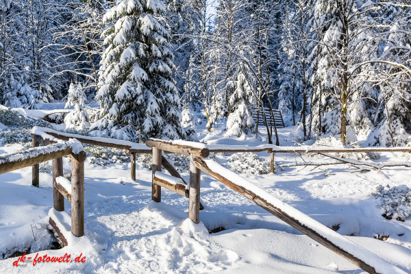 Fotoworkshop Fotokurs Fotowanderung Nationalpar Harz