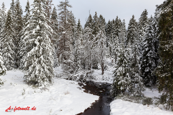 Fotoworkshop Fotokurs Fotowanderung Nationalpar Harz