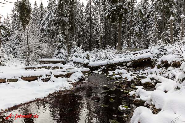 Fotoworkshop Fotokurs Fotowanderung Nationalpar Harz