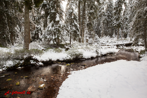 Fotoworkshop Fotokurs Fotowanderung Nationalpar Harz