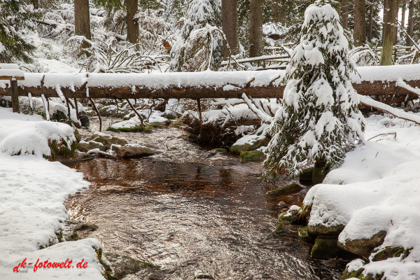 Fotoworkshop Fotokurs Fotowanderung Nationalpar Harz