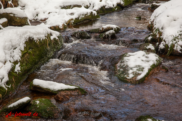 Fotoworkshop Fotokurs Fotowanderung Nationalpar Harz