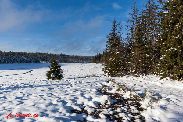 Fotoworkshop Fotokurs Fotowanderung Nationalpar Harz