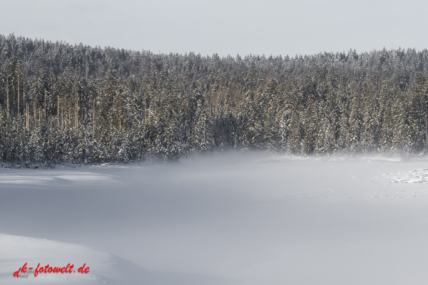 Fotoworkshop Fotokurs Fotowanderung Nationalpar Harz