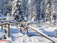 Fotoworkshop Fotokurs Fotowanderung Nationalpar Harz