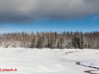 Fotoworkshop Fotokurs Fotowanderung Nationalpar Harz