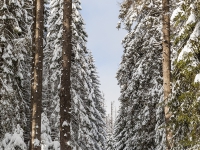 Fotoworkshop Fotokurs Fotowanderung Nationalpar Harz