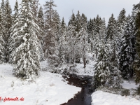 Fotoworkshop Fotokurs Fotowanderung Nationalpar Harz