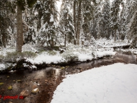 Fotoworkshop Fotokurs Fotowanderung Nationalpar Harz