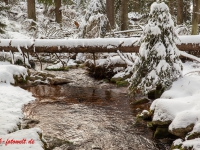 Fotoworkshop Fotokurs Fotowanderung Nationalpar Harz