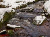 Fotoworkshop Fotokurs Fotowanderung Nationalpar Harz