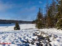 Fotoworkshop Fotokurs Fotowanderung Nationalpar Harz