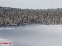 Fotoworkshop Fotokurs Fotowanderung Nationalpar Harz