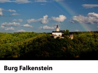 Blick auf die Burg Falkenstein