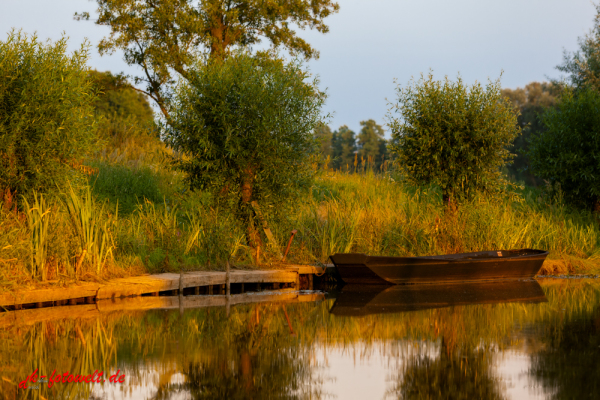 Spreewald