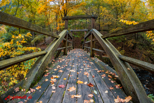 Lampenbrücke im Selketal