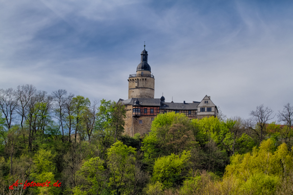 Blick aus dem Selketal auf die Burg Falkenstein Harz