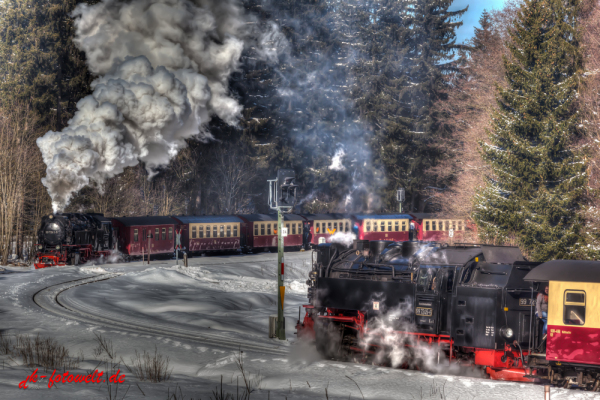 Harzer Schmalspurbahnen Selketalbahn im Winter