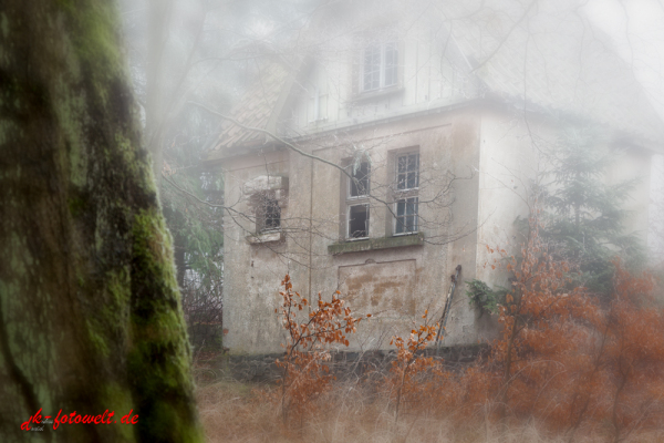 Haus im nebligen Wald stehend