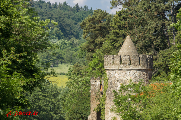 Roseburg bei Rieder Harz