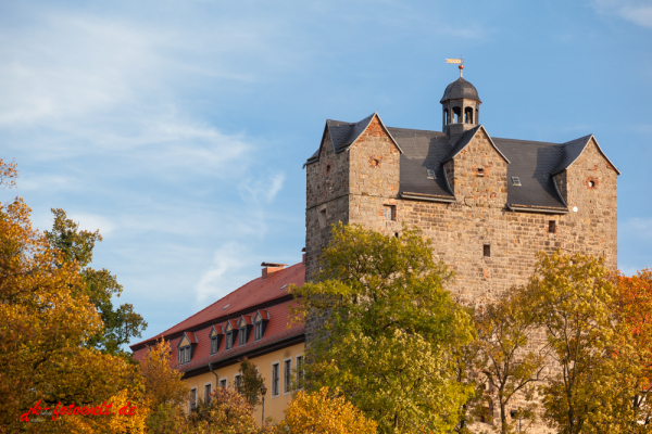 Schlosspark mit dem Schloss Ballenstedt im Herbst