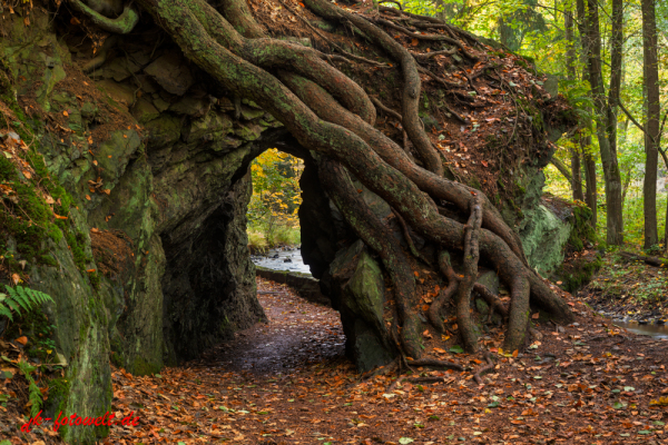 Selketal-Stieg im herbstlichen Gewand